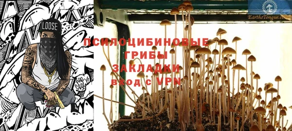 шишки Нефтекумск